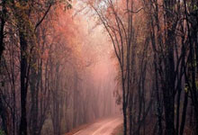 苹果安卓云端多开软件代理官网（多开分身转发软件招收代理）