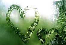 红包助手微信抢红包(红包助手微信抢红包苹果)