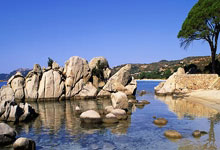 云福星云端秒抢红包-ipad在线模式【支持苹果安卓通用】