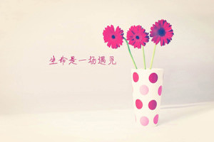 ios分身,下载以后找不到信任证书的地方?证书异常的常见情况(苹果分身无法验证应用)