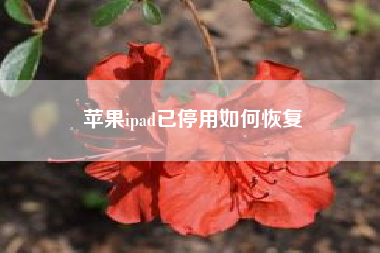 苹果ipad已停用如何恢复--苹果的平板怎么查看ID?(苹果赵子龙官网)