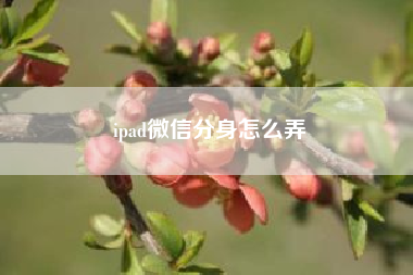 ipad微信份身怎么弄 iPad微信怎么切换账号?(苹果百花香官网)